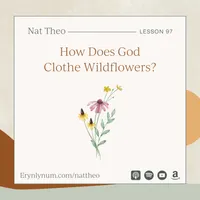Nat Theo Nature Lessons Rooted in the Bible artwork