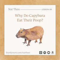 Nat Theo Nature Lessons Rooted in the Bible artwork