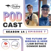 The Birding Life Podcast Network artwork
