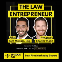 The Law Entrepreneur artwork