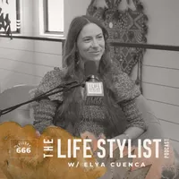 The Life Stylist artwork