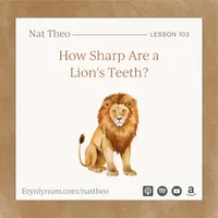 Nat Theo Nature Lessons Rooted in the Bible artwork