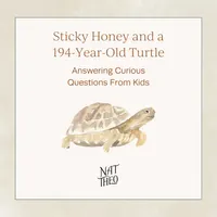 Nat Theo Nature Lessons Rooted in the Bible artwork