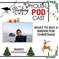 The Birding Life Podcast Network artwork
