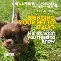 A New Life in Italy artwork