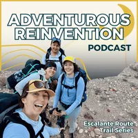 The Adventurous Reinvention artwork