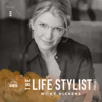 The Life Stylist artwork