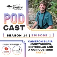 The Birding Life Podcast Network artwork