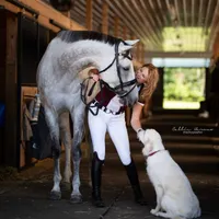 Horse Radio Network All Shows Feed artwork