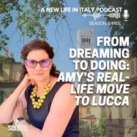 A New Life in Italy artwork