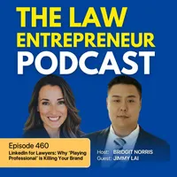 The Law Entrepreneur artwork