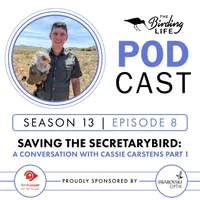 The Birding Life Podcast Network artwork