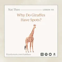 Nat Theo Nature Lessons Rooted in the Bible artwork