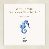Nat Theo Nature Lessons Rooted in the Bible artwork
