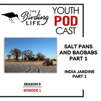 The Birding Life Podcast Network artwork