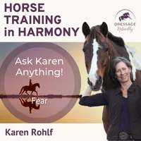 Horse Training in Harmony artwork