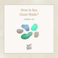 Nat Theo Nature Lessons Rooted in the Bible artwork