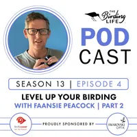 The Birding Life Podcast Network artwork