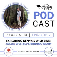 The Birding Life Podcast Network artwork