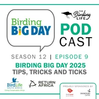 The Birding Life Podcast Network artwork