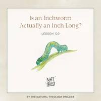 Nat Theo Nature Lessons Rooted in the Bible artwork
