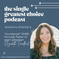 The Single Greatest Choice: For Single Women Exploring Solo Motherhood by Choice (SMBC), Fertility, and Having a Baby on Their Own Through Donor Conception or Adoption artwork