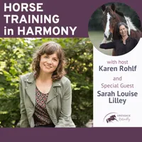 Horse Training in Harmony artwork