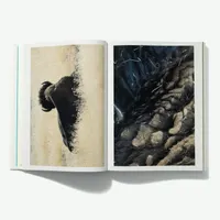 Emergence Magazine Podcast artwork