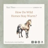 Nat Theo Nature Lessons Rooted in the Bible artwork