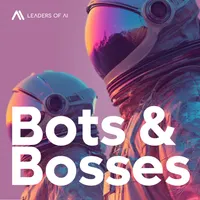 Bots & Bosses (english) artwork
