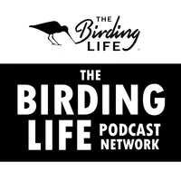 The Birding Life Podcast Network artwork