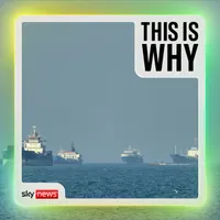 This Is Why artwork