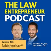 The Law Entrepreneur artwork