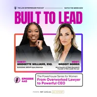 The Law Entrepreneur artwork