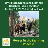Horse Radio Network All Shows Feed artwork