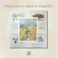 Nat Theo Nature Lessons Rooted in the Bible artwork