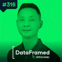 DataFramed artwork