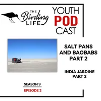 The Birding Life Podcast Network artwork