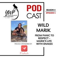 The Birding Life Podcast Network artwork