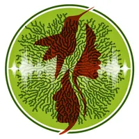 Future Ecologies artwork