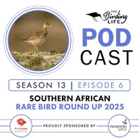 The Birding Life Podcast Network artwork