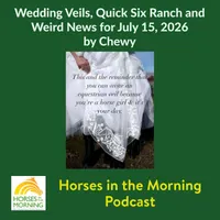 Horse Radio Network All Shows Feed artwork