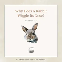 Nat Theo Nature Lessons Rooted in the Bible artwork