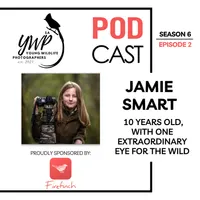 The Birding Life Podcast Network artwork