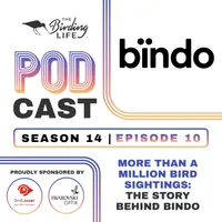 The Birding Life Podcast Network artwork