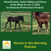 Horse Radio Network All Shows Feed artwork