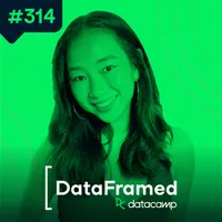 DataFramed artwork