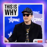 This Is Why artwork