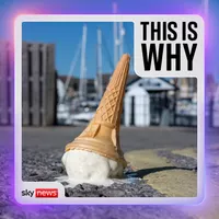 This Is Why artwork