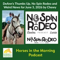Horse Radio Network All Shows Feed artwork